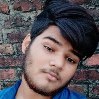 Ayush Chaudhary's photo