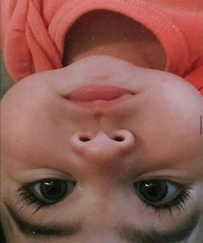 66916810 4594