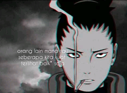 65294620 8166