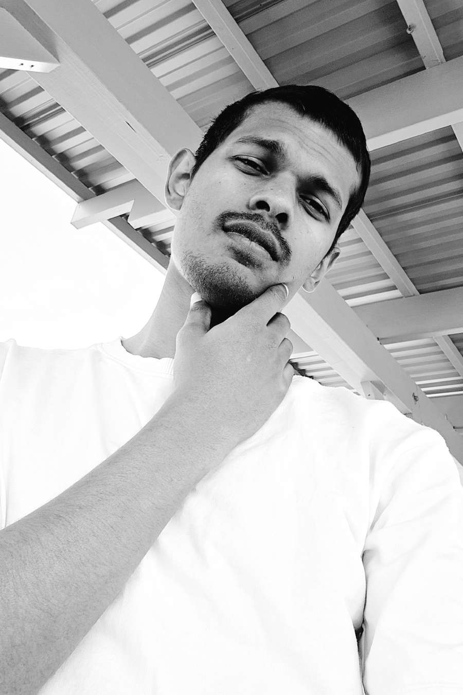 88899651 2437 medium large