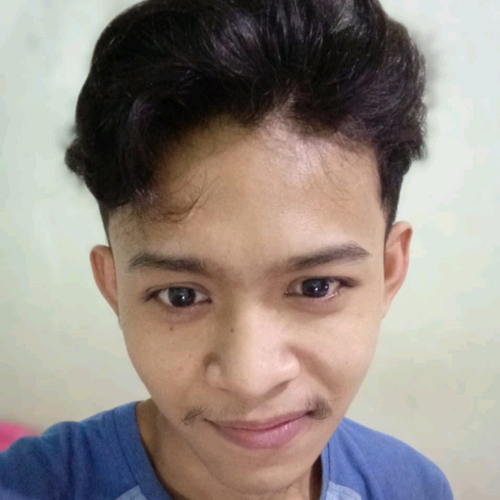 52366262 9343