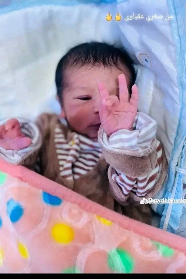 89835077 2850 medium large