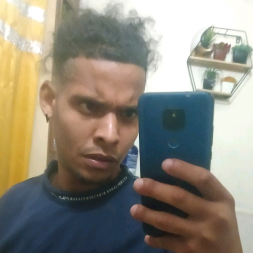 55329169 2219