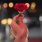 Abhishek Kumar's photo