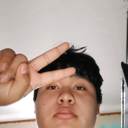 55728145 5528