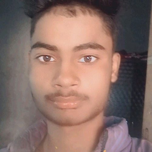 52048497 7341