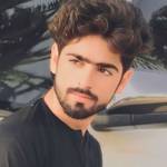 Syed Hussain Abbas Naqvi's photo