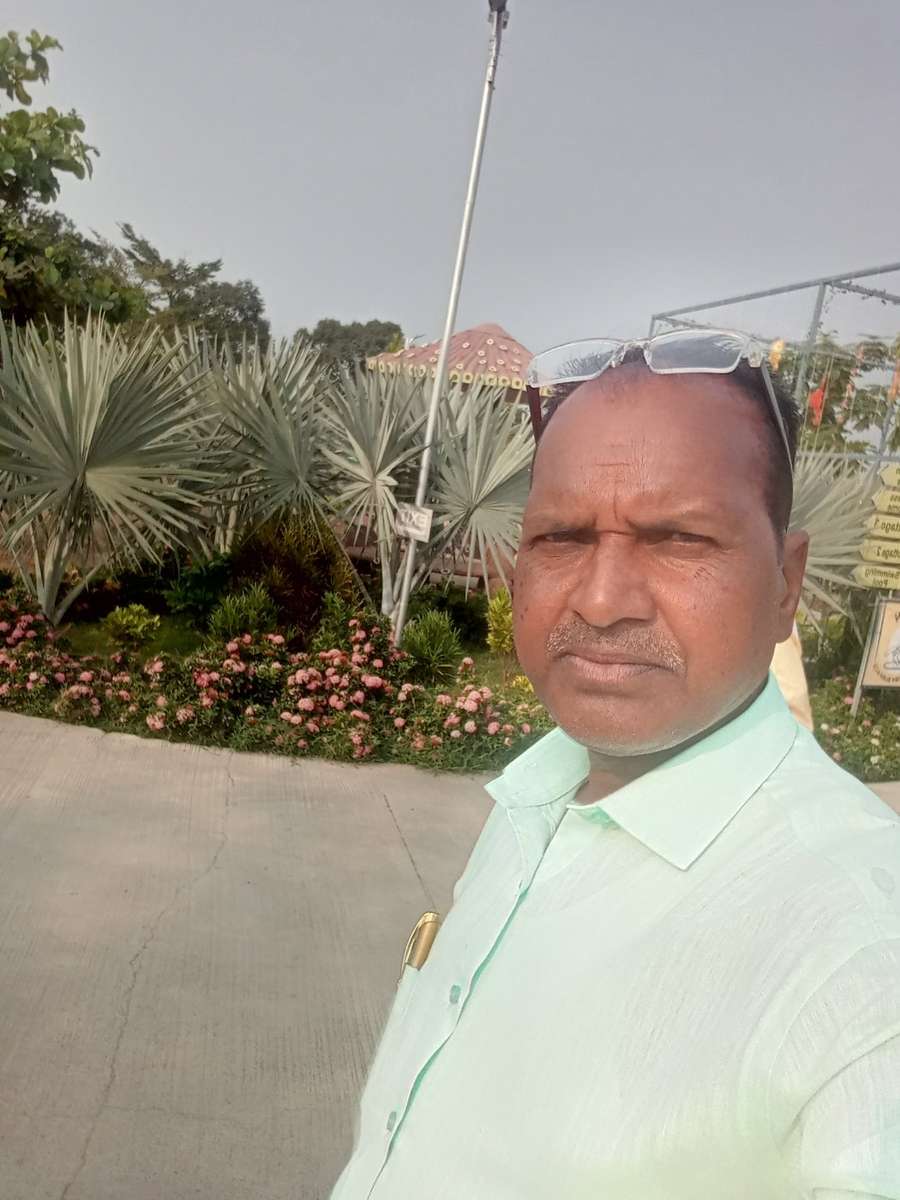 85643601 5746 medium large