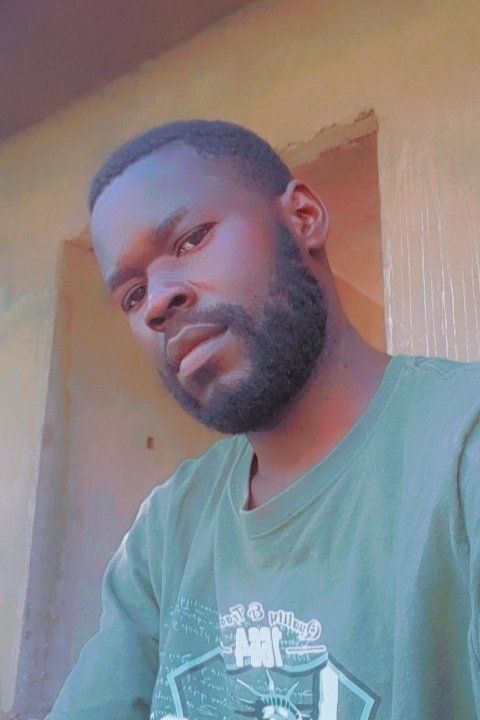 89368564 178 medium large