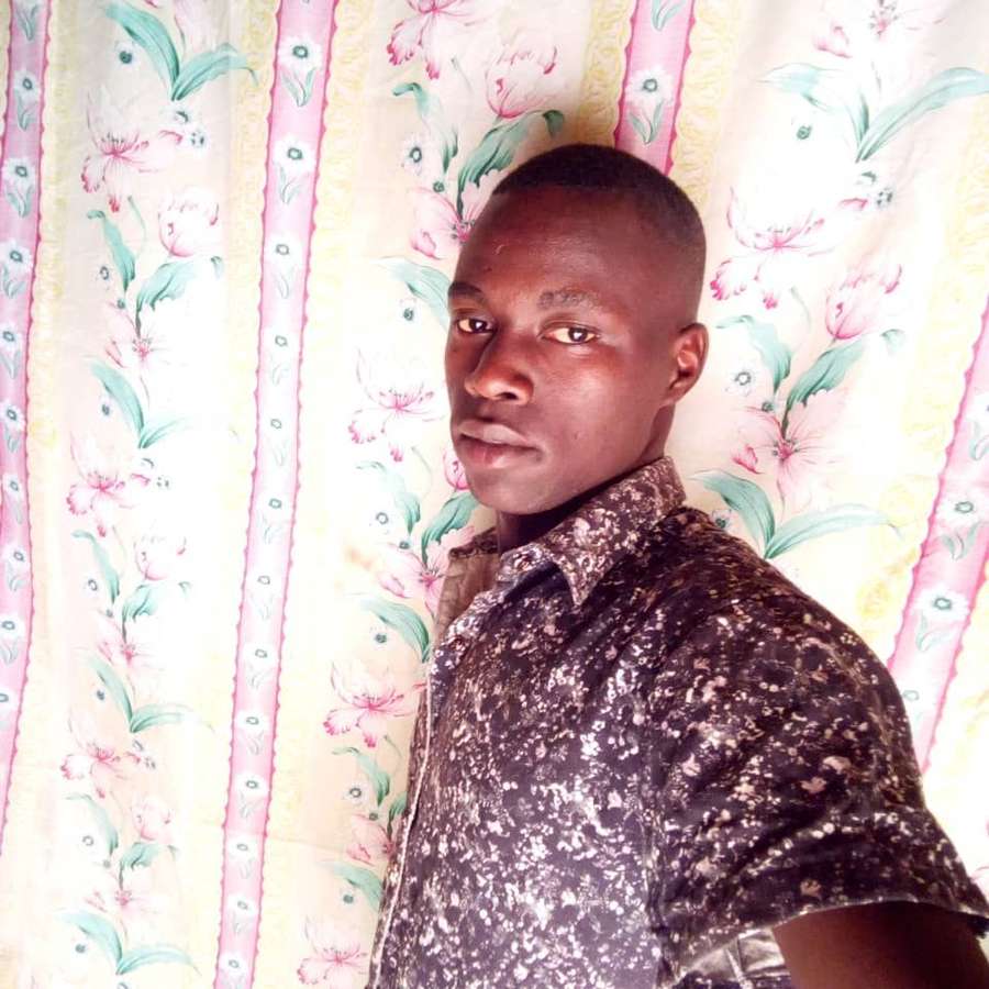 86661677 904 medium large
