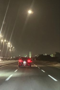 محمد الشاطئ's photo