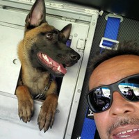 Luis Curbelo's photo