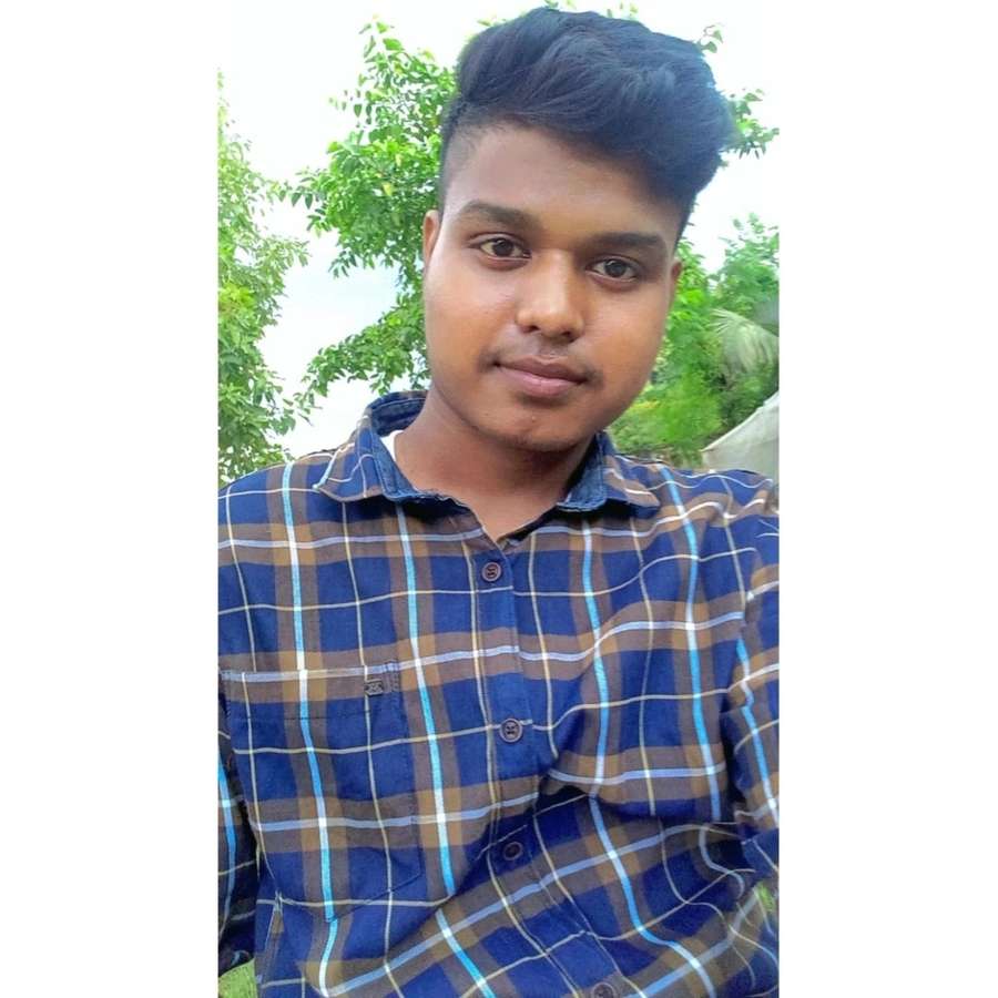 85098764 194 medium large