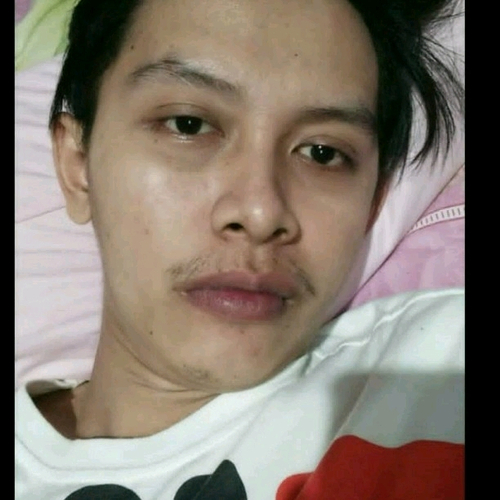 68134551 1777