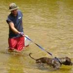 Papillon Legrande's photo