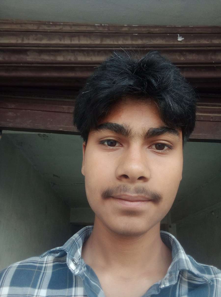 86493684 1180 medium large