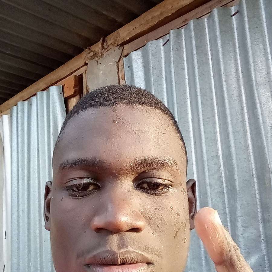 82533117 7427 medium large