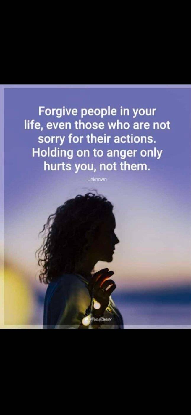 77930081 5081 medium large