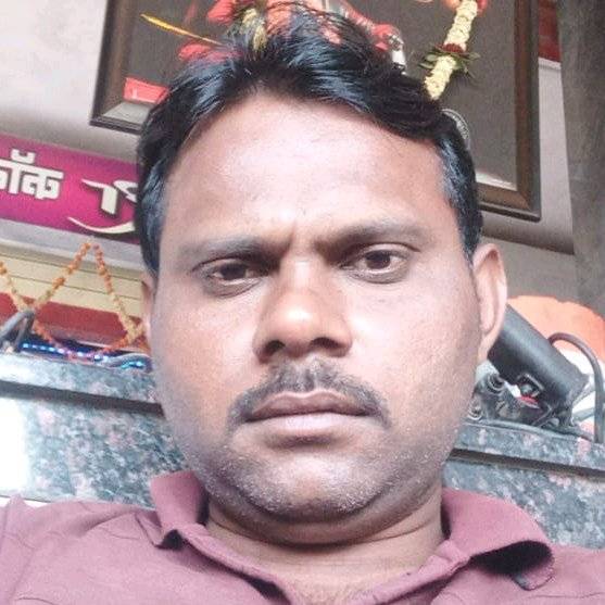 75300370 4368 medium large