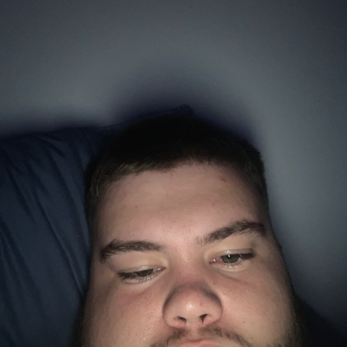 54030408 2955
