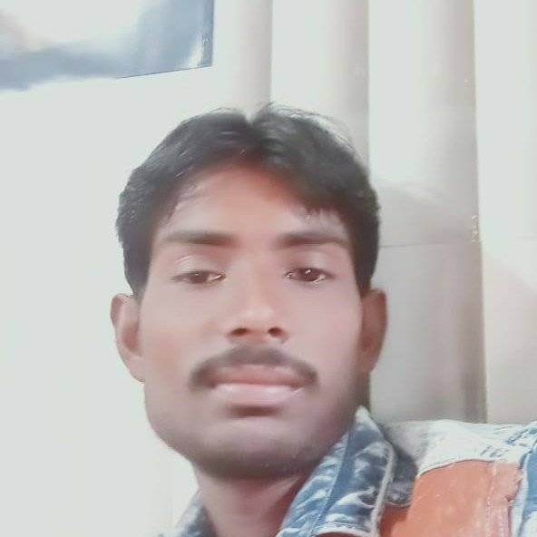 68576129 3054 medium large