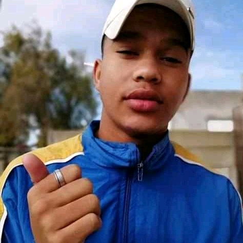 36137264 2393