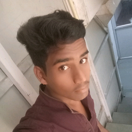 54483502 1665