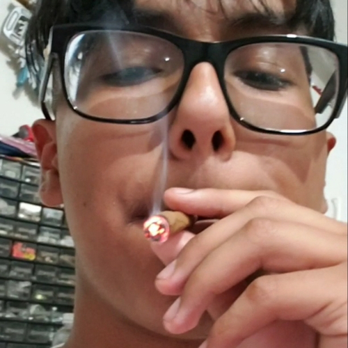 44773393 7584
