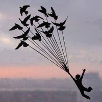 akash's photo