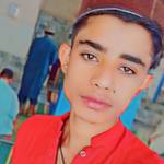 Devil is back's photo