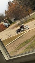 Philip Scherfling's photo