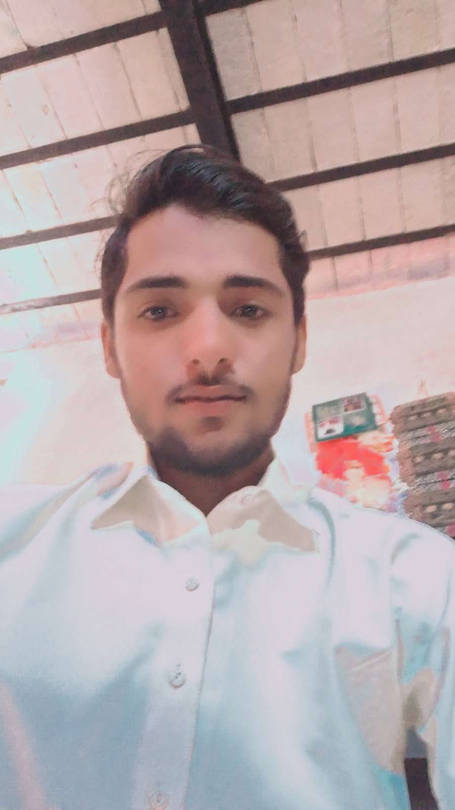 88082377 3131 medium large