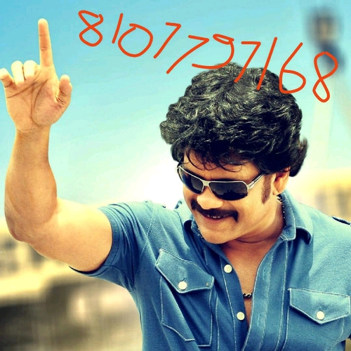 56474126 9187