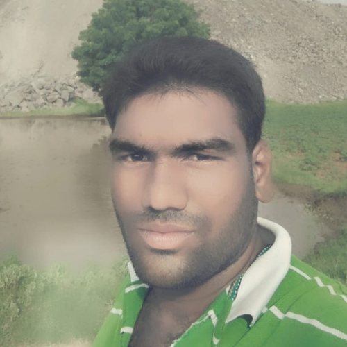48915311 3318