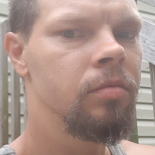 43678731 3841