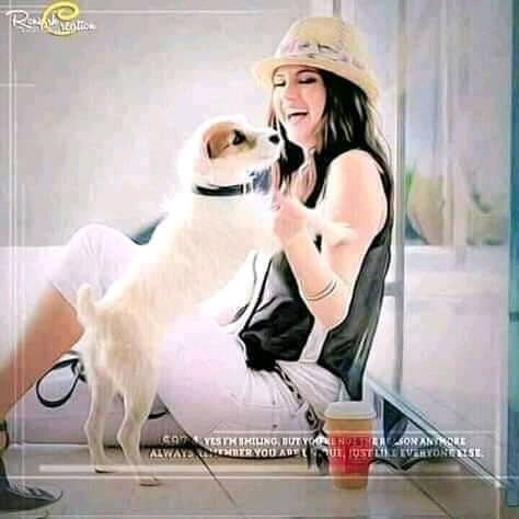 50868266 8377