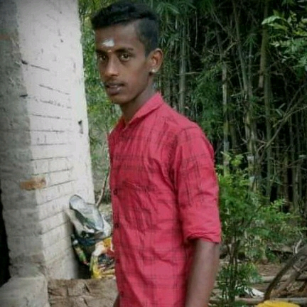 56732879 4629