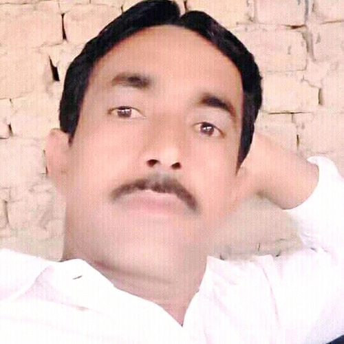 50849649 3321