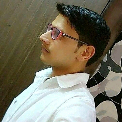 51978524 3816