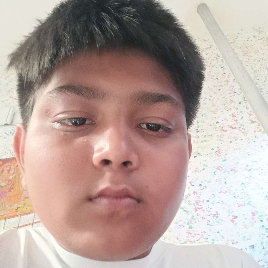 87228547 2231 medium large