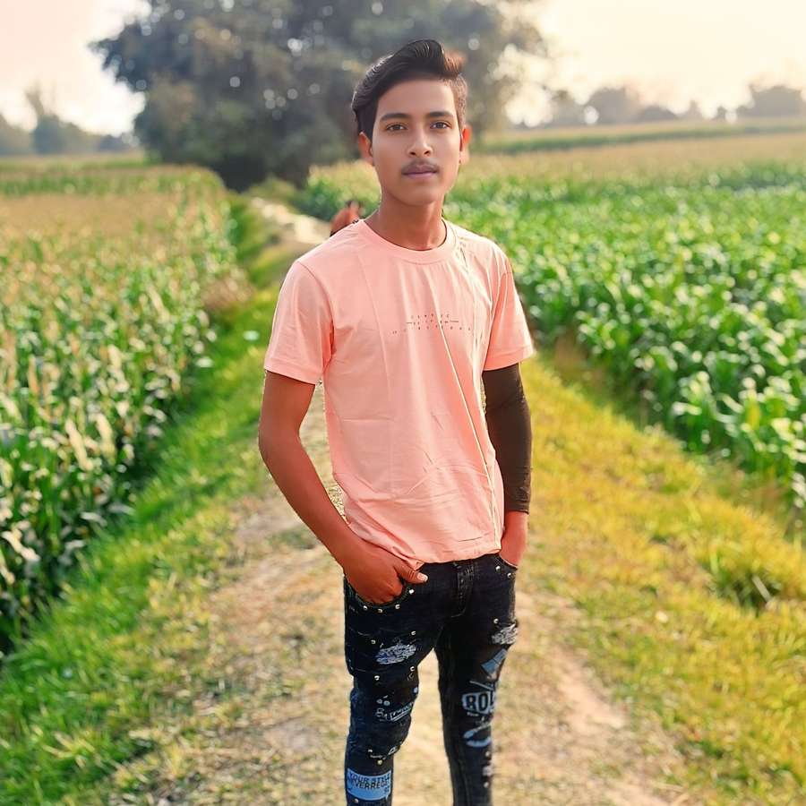 86081271 6793 medium large