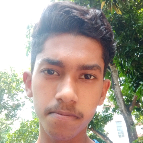 55333782 1051