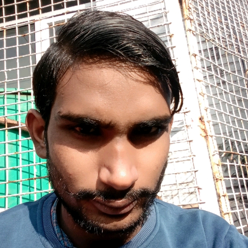 51486068 8135