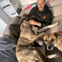 Donald Cormier's photo