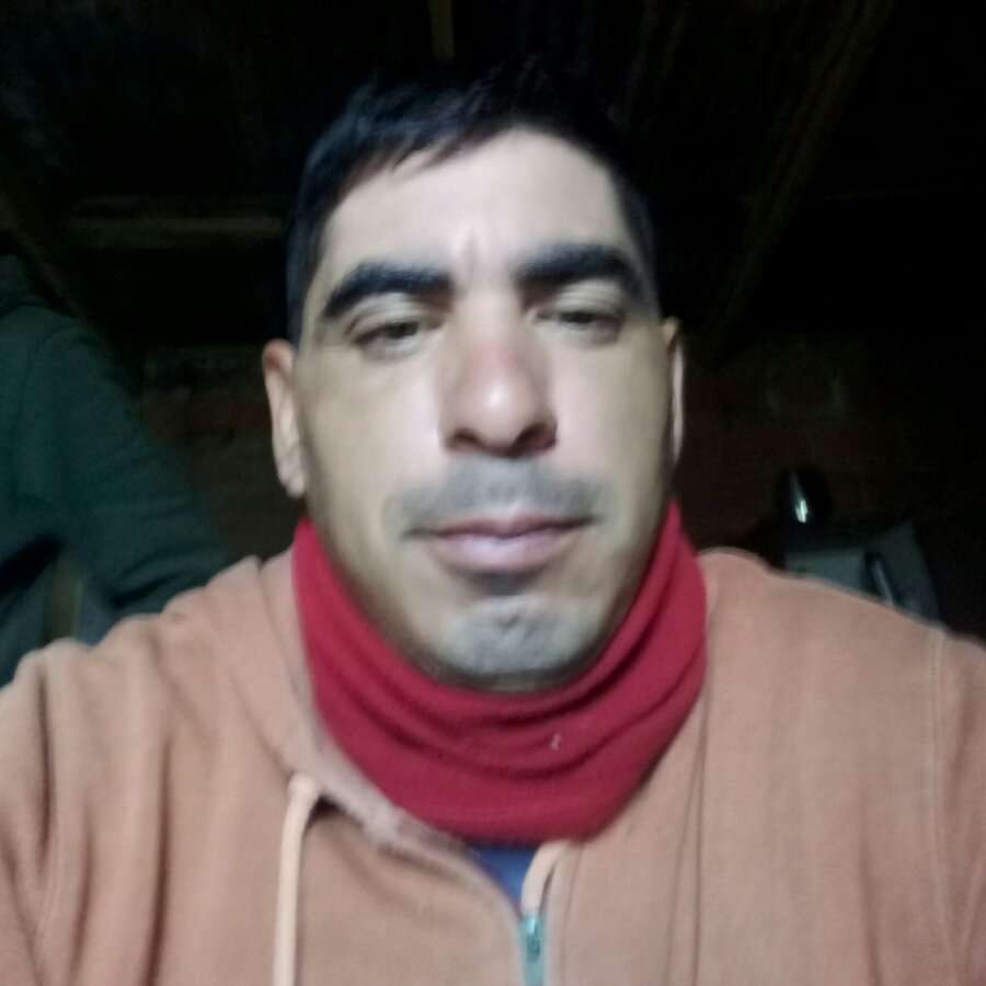 76877746 4309 medium large