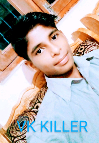 61855723 2279