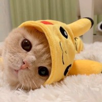 isyaa.baby's photo