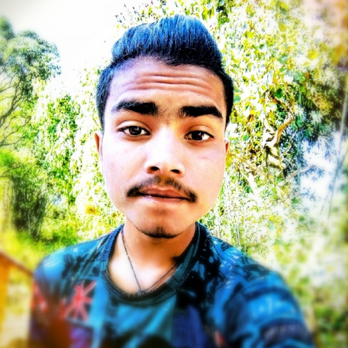 43917875 8933