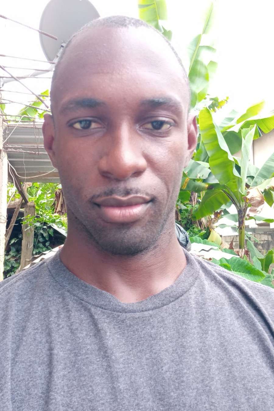 90317809 6407 medium large