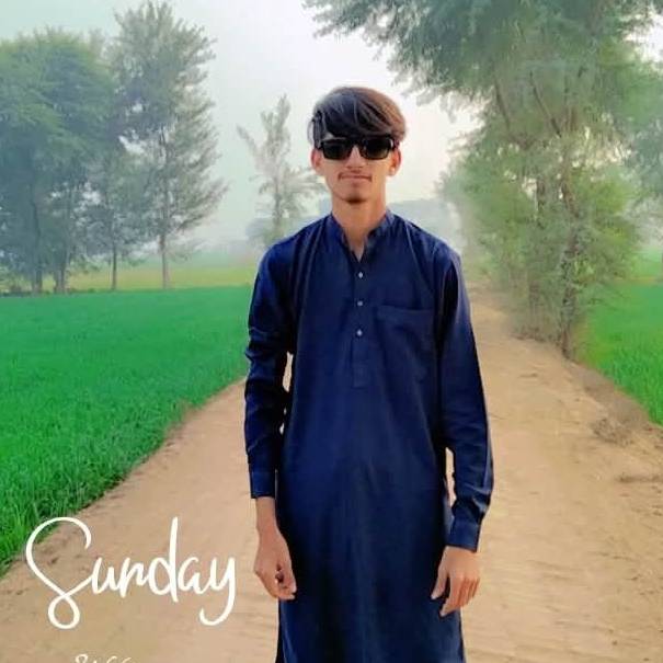 86175022 9041 medium large